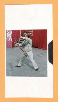 wu style tai chi video